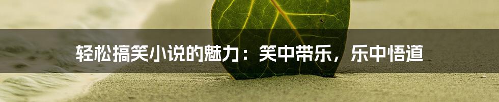 轻松搞笑小说的魅力:笑中带乐,乐中悟道
