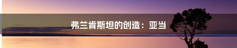 弗兰肯斯坦的创造:亚当