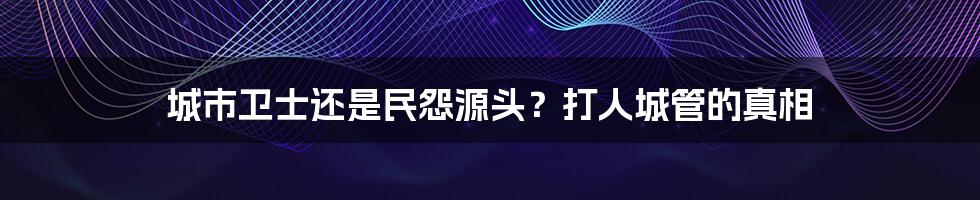 城市卫士还是民怨源头?打人城管的真相