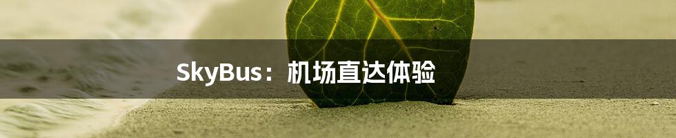 SkyBus:机场直达体验
