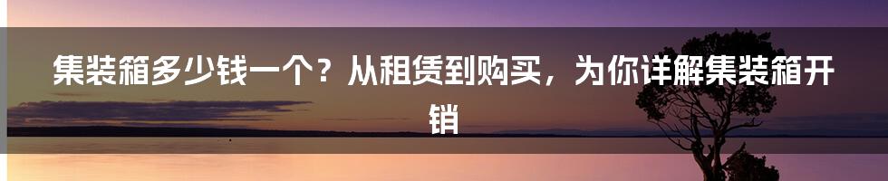 集装箱多少钱一个?从租赁到购买,为你详解集装箱开销