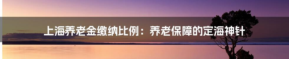 上海养老金缴纳比例:养老保障的定海神针