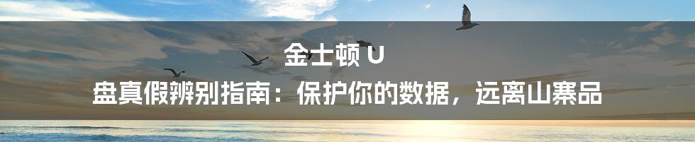 金士顿 U 盘真假辨别指南：保护你的数据，远离山寨品