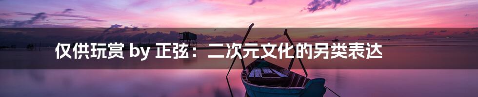 仅供玩赏 by 正弦:二次元文化的另类表达