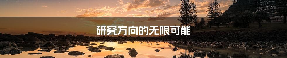 研究方向的无限可能