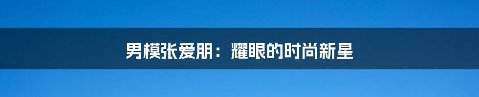 男模张爱朋:耀眼的时尚新星