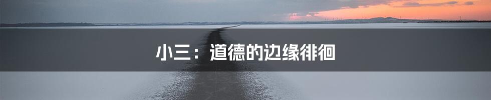 小三:道德的边缘徘徊