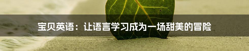 宝贝英语：让语言学习成为一场甜美的冒险