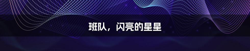班队,闪亮的星星