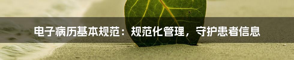 电子病历基本规范：规范化管理，守护患者信息