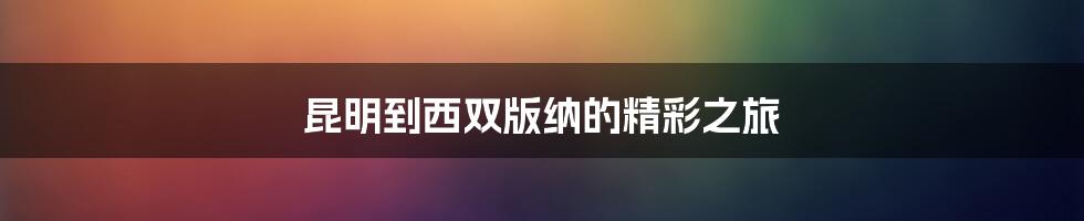 昆明到西双版纳的精彩之旅