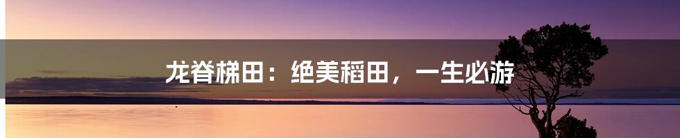 龙脊梯田：绝美稻田，一生必游