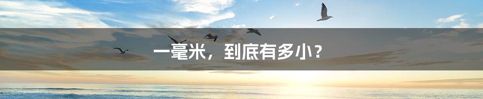 一毫米,到底有多小?