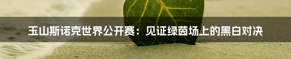 玉山斯诺克世界公开赛：见证绿茵场上的黑白对决
