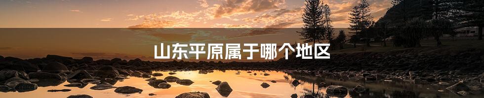 山东平原属于哪个地区