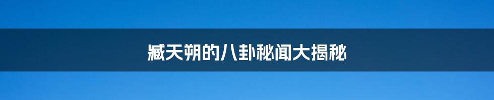 臧天朔的八卦秘闻大揭秘