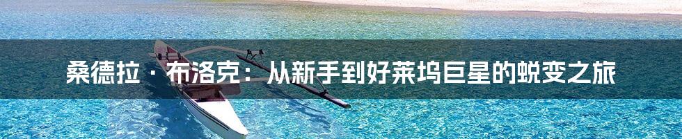桑德拉·布洛克:从新手到好莱坞巨星的蜕变之旅