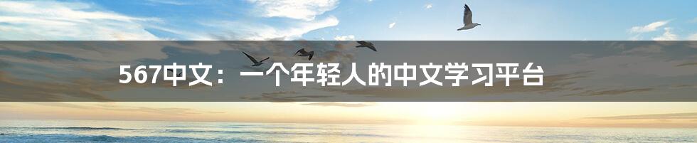 567中文:一个年轻人的中文学习平台