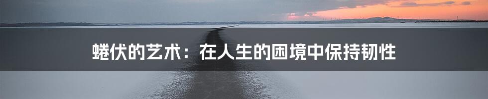 蜷伏的艺术:在人生的困境中保持韧性