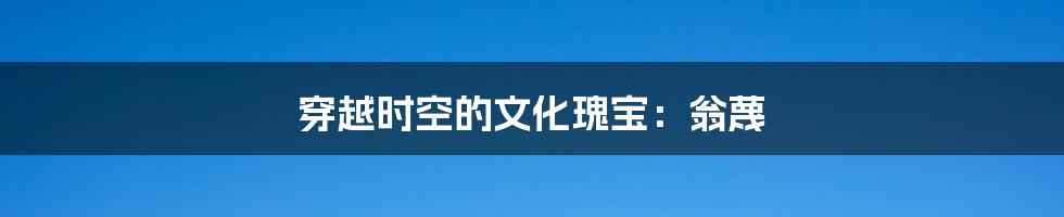 穿越时空的文化瑰宝:翁蔑