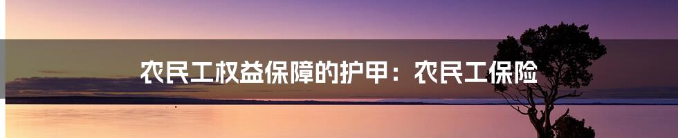 农民工权益保障的护甲：农民工保险