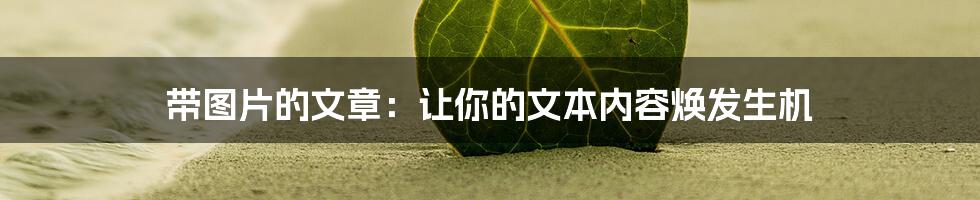带图片的文章：让你的文本内容焕发生机