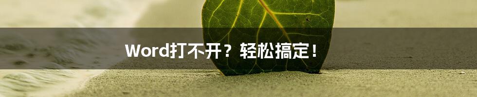 Word打不开?轻松搞定!