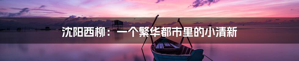 沈阳西柳:一个繁华都市里的小清新