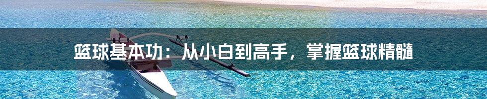 篮球基本功：从小白到高手，掌握篮球精髓