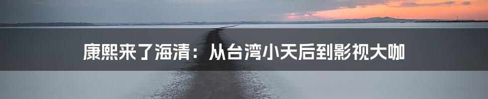 康熙来了海清:从台湾小天后到影视大咖