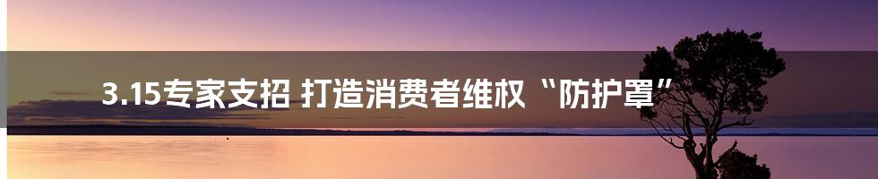 3.15专家支招 打造消费者维权“防护罩”