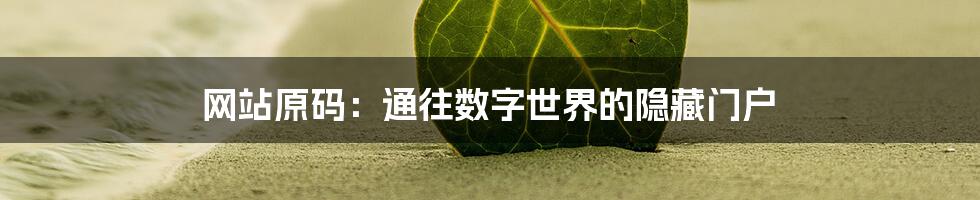 网站原码:通往数字世界的隐藏门户