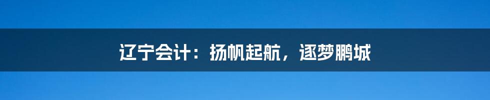 辽宁会计:扬帆起航,逐梦鹏城