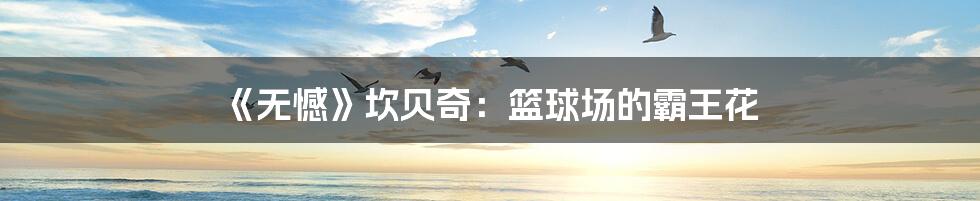 《无憾》坎贝奇:篮球场的霸王花