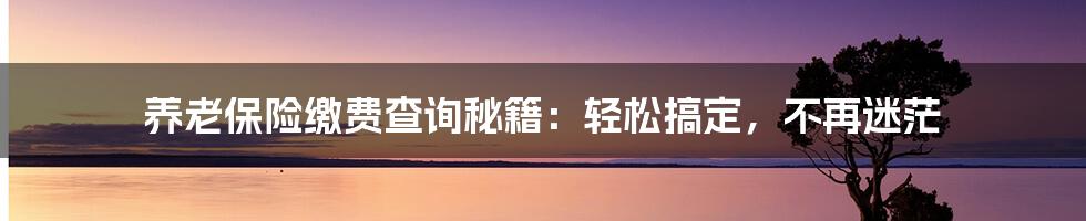 养老保险缴费查询秘籍:轻松搞定,不再迷茫