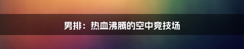 男排:热血沸腾的空中竞技场