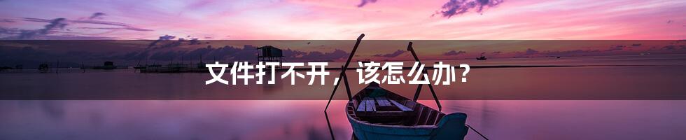 文件打不开,该怎么办?