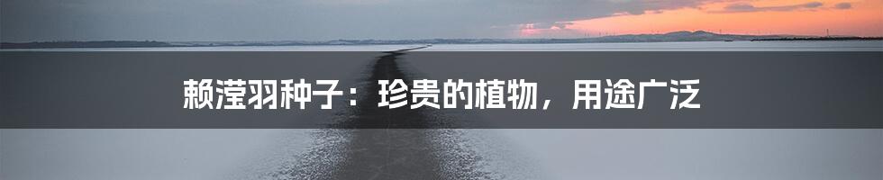 赖滢羽种子:珍贵的植物,用途广泛
