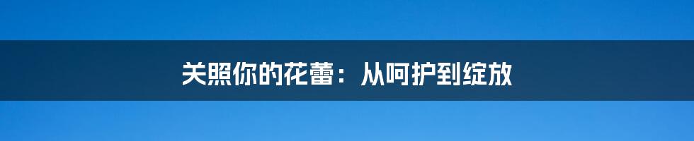 关照你的花蕾：从呵护到绽放