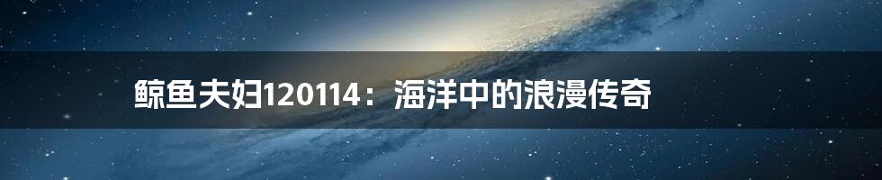 鲸鱼夫妇120114:海洋中的浪漫传奇