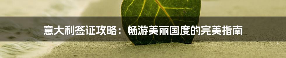 意大利签证攻略：畅游美丽国度的完美指南