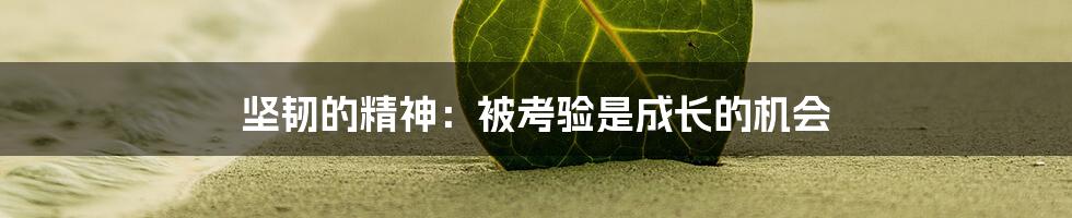 坚韧的精神：被考验是成长的机会