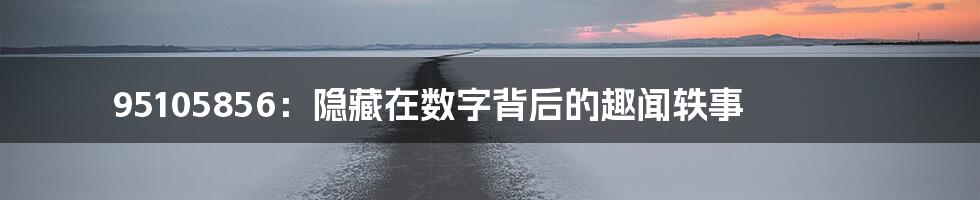 95105856:隐藏在数字背后的趣闻轶事