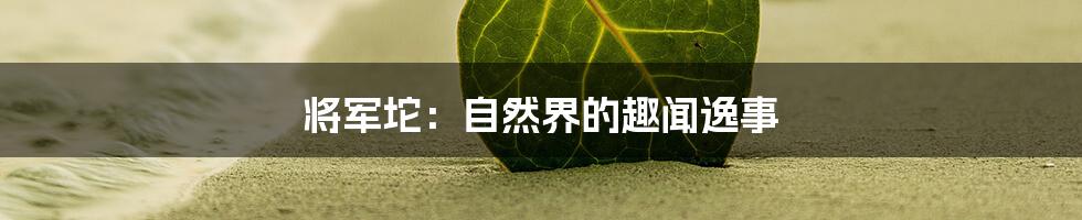 将军坨：自然界的趣闻逸事