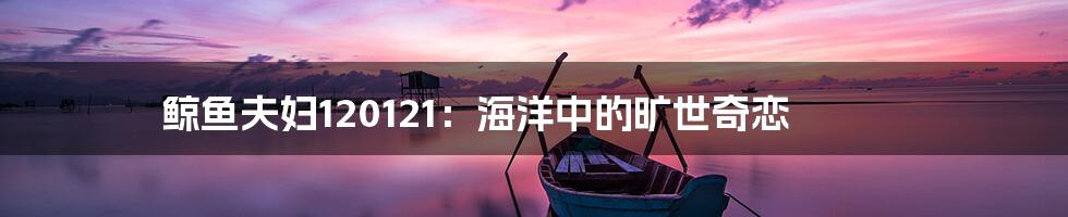 鲸鱼夫妇120121：海洋中的旷世奇恋