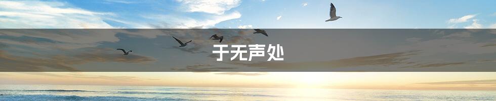 于无声处