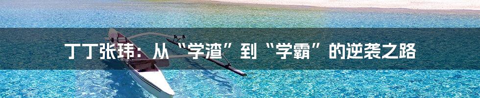 丁丁张玮:从“学渣”到“学霸”的逆袭之路
