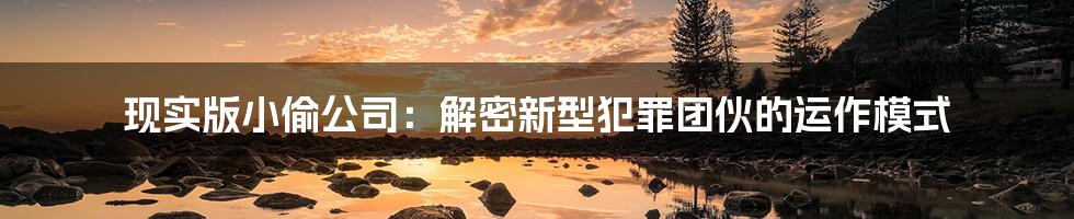 现实版小偷公司：解密新型犯罪团伙的运作模式