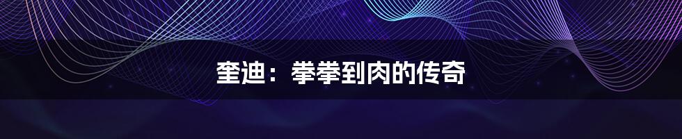 奎迪:拳拳到肉的传奇