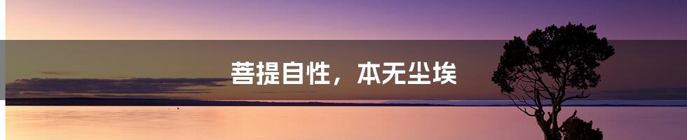 菩提自性,本无尘埃